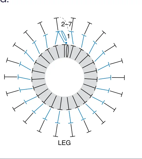 Schematic for Finger