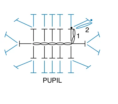 Schematic for Smile