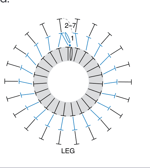 Schematic for Finger