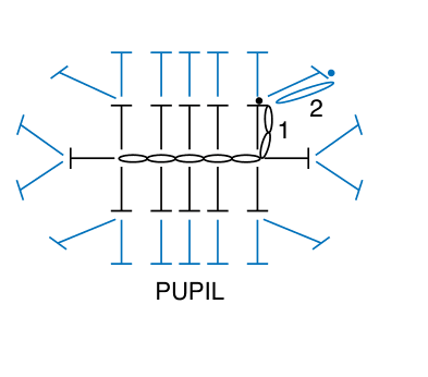 Schematic for Smile