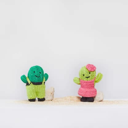 Free Cute Cactus Doll Crochet Pattern